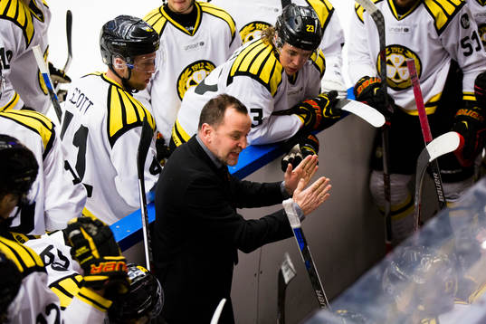 Brynäs tränare Thomas Berglund coachar