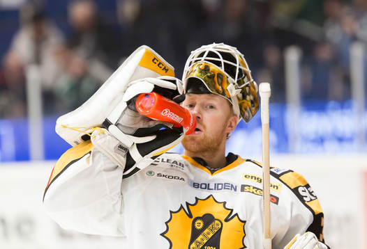 Skellefteås målvakt Erik Hanses