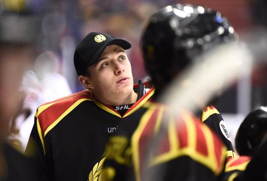 Brynäs målvakt Jonas Johansson i båset