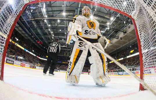 Skellefteås målvakt Erik Hanses hämtar pucken i målburen