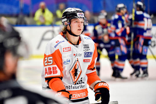 Karlskronas Gustav Ahnelövdeppar