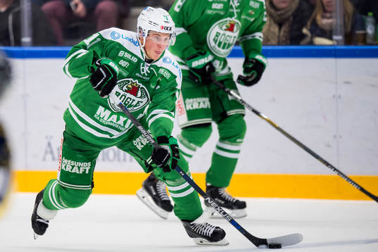 Rögles David Åslin