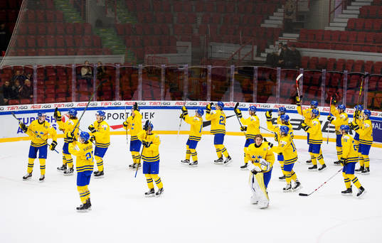 Sveriges spelare jublar