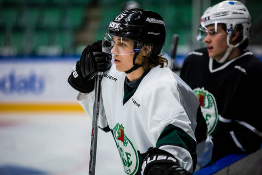 Rögles Erik Santesson
