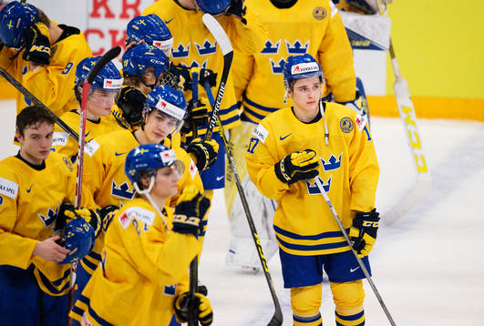 Sveriges spelare med Dmytro Timashov deppar
