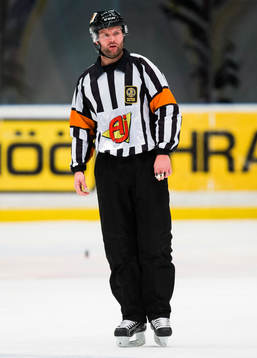 Domare David Bergman