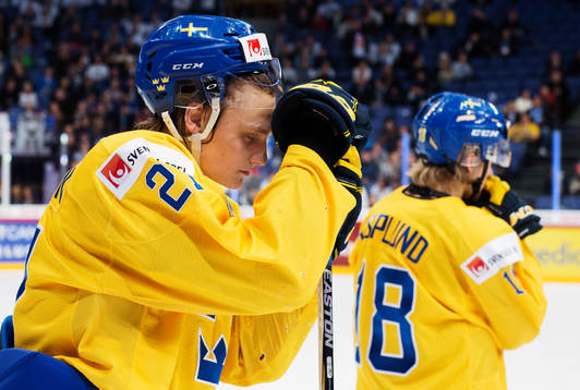 Sveriges Anton Karlsson deppar