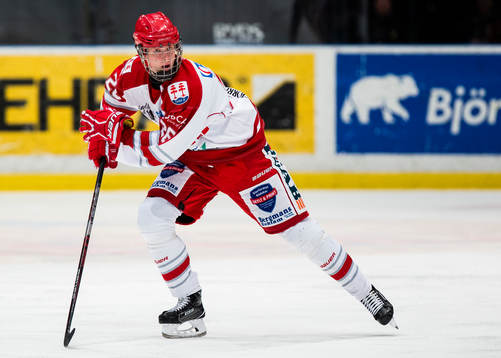 Timrås Elias Pettersson