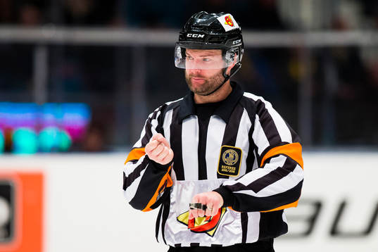 Domar David Bergman