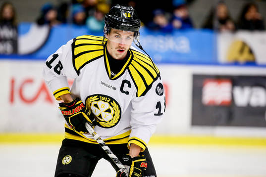 Brynäs Anton Rödin