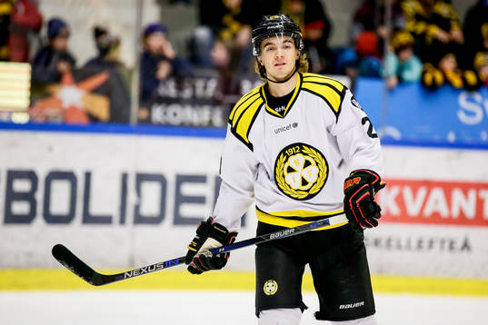 Brynäs Adam Brodecki