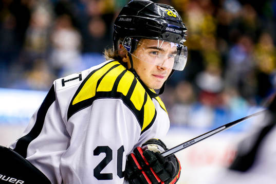 Brynäs Adam Brodecki