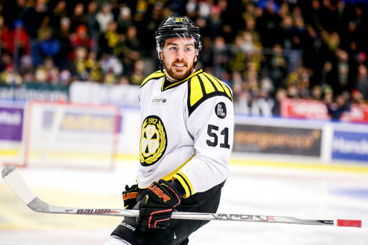 Brynäs Marc Zanetti