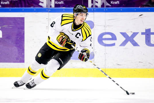 Brynäs Anton Rödin