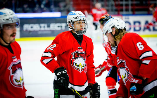 Malmö Redhawks Martin Fehervary