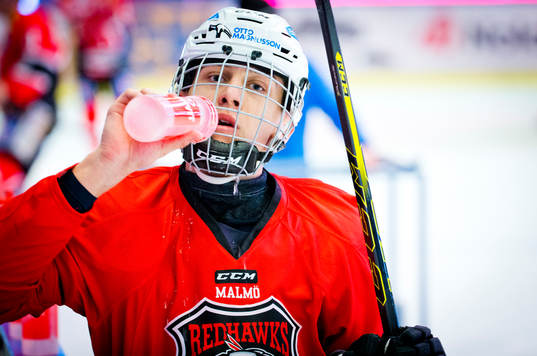 Malmö Redhawks Martin Fehervary