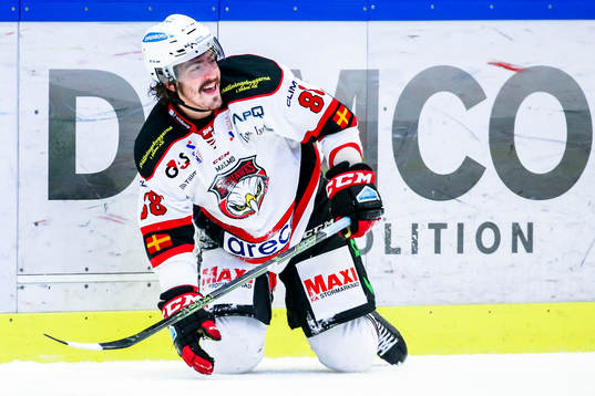Malmö Redhawks Peter Mueller deppar