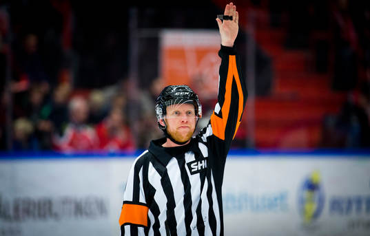 Domare Mikael Holm