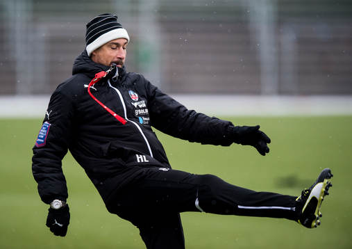 Helsingborgs manager Henrik Larsson