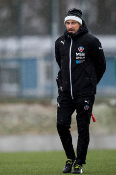 Helsingborgs manager Henrik Larsson