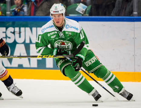Rögles David Åslin