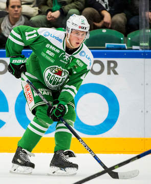 Rögles David Åslin