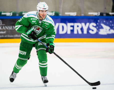 Rögles Alen Bibic