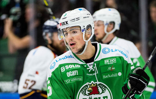 Rögles Alen Bibic