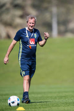 förbundskapten Erik Hamrén
