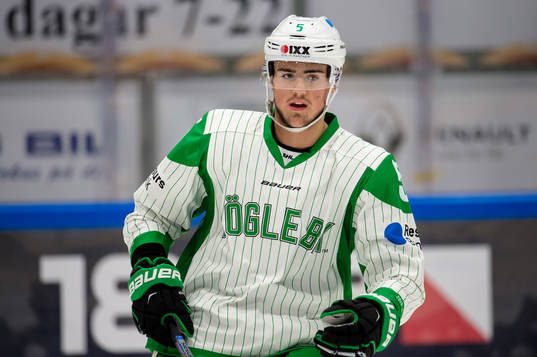 Rögles Alen Bibic
