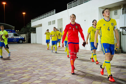 Sveriges spelare med målvakt Patrik Carlgren och Emil