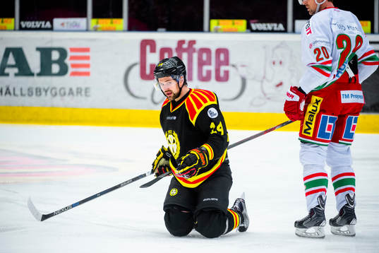 Brynäs Johan Alcén
