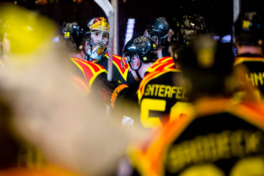 Brynäs målvakt Bernhard Starkbaum jublar med lagkamraterna