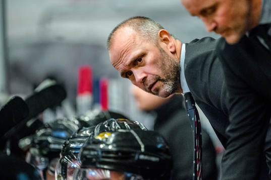 Brynäs assisterande tränare Tommy Sjödin