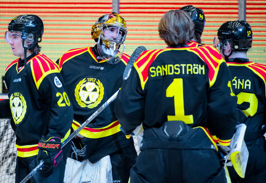 Brynäs målvakt Bernhard Starkbaum jublar