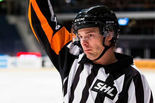 Domare Mikael Andersson