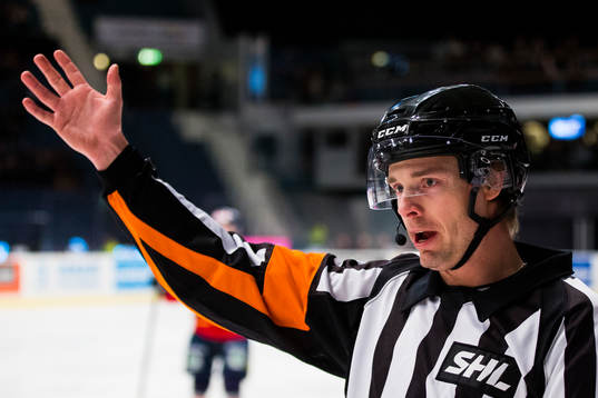 Domare Mikael Andersson