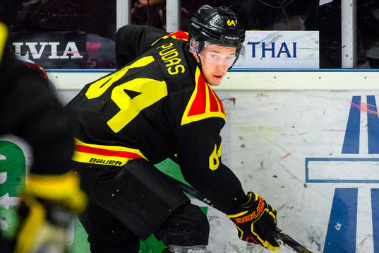 Brynäs Jonathan Pudas