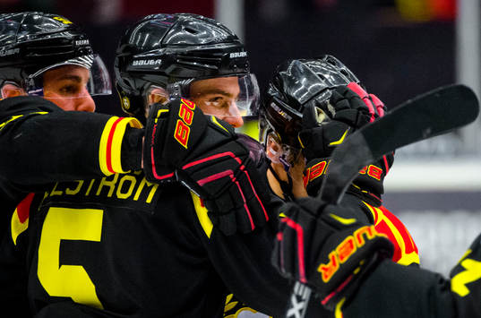 Bläddra bland fler bilder av Ishockey, SHL, Brynäs - Modo