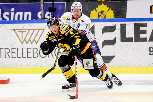 Skellefteås Tim Heed
