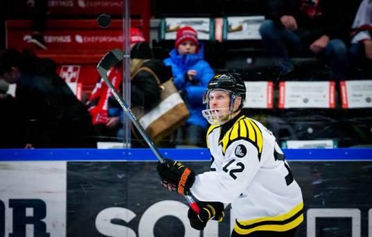 Brynäs Petr Vrana