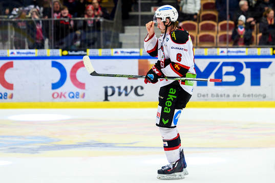 Malmö Redhawks Stefan Warg deppar