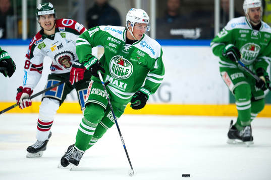 Rögles David Åslin