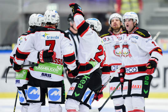 Malmö Redhawks spelare jublar