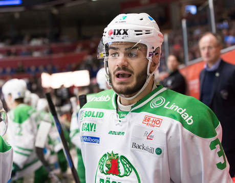 Rögles Almen Bibic