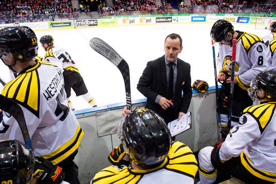 Brynäs tränare Thomas Berglund