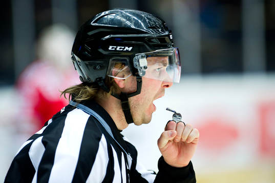Domaren Daniel Persson