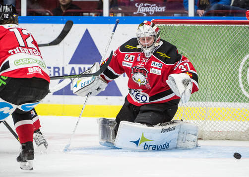 Pucken framför Malmö Redhawks målvakt Jonas Gunnarsson