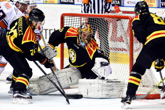 Brynäs målvakt Bernhard Starkbaum