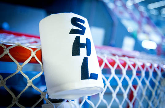 Vattenflaskhållare på ishockeymålet med SHL logotyp